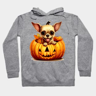 Chihuahua Dog inside Pumpkin #2 Hoodie